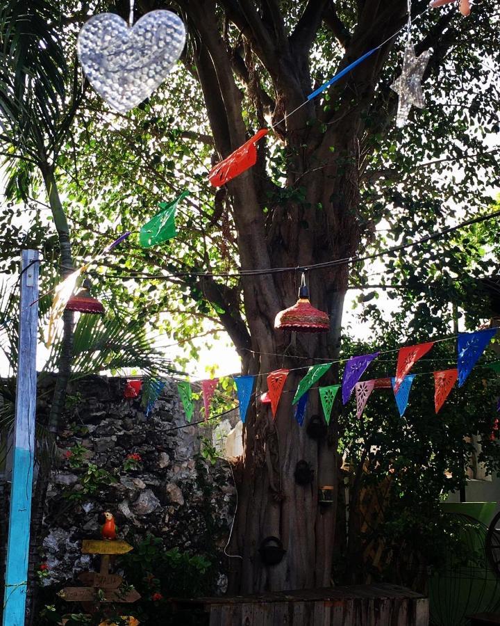 La Casa De La 12 Pansiyon Campeche Dış mekan fotoğraf